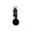 black scaled  e